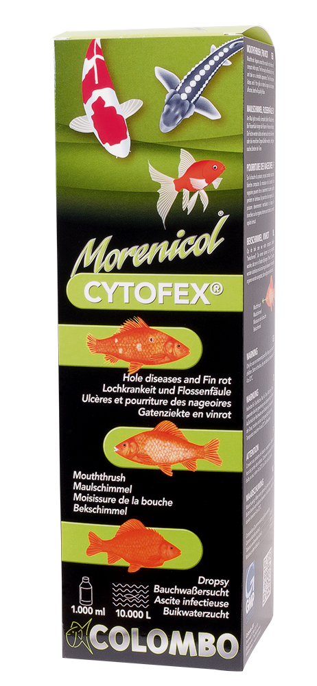 Colombo Cytofex - gegen bakterielle Infektionen wie Hautgeschwüre, Flossenfäule und Lochkrankheit
