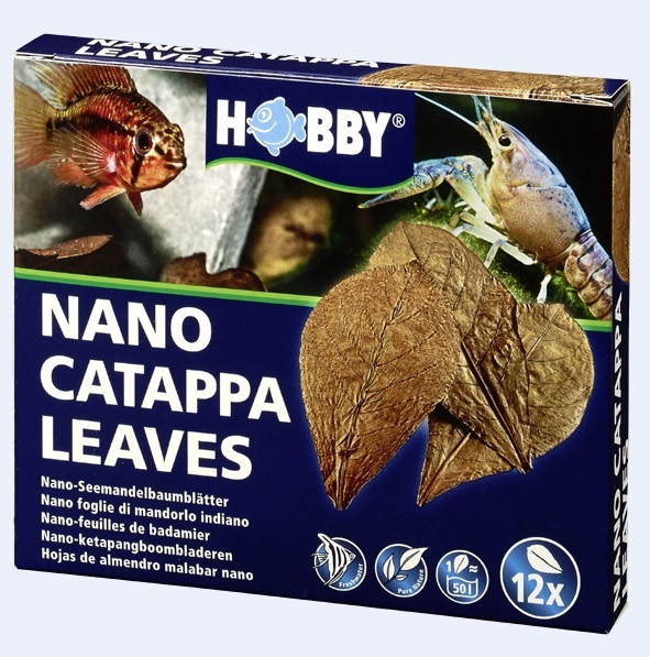 HOBBY Nano Seemandelbaumblätter   Catappa Leaves  12 Stück