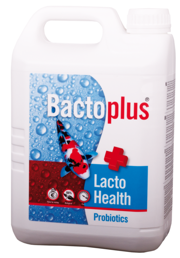 BactoPlus Lacto Health