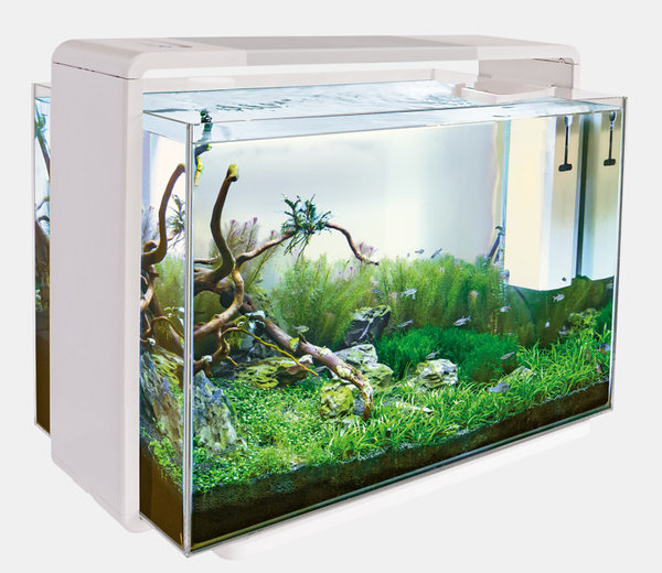 Home 110  Aquarium 110 Liter mit Pflanzen LED
