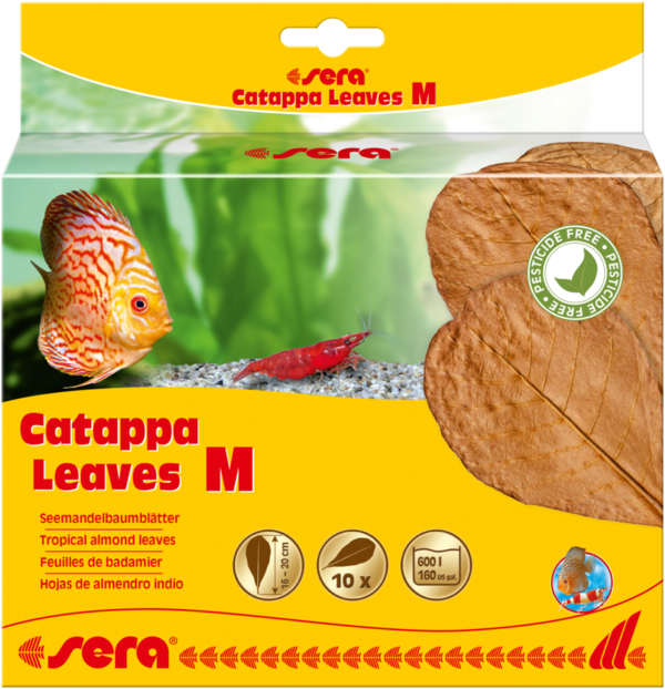 sera Catappa Leaves M 16-20 cm, 10 St.