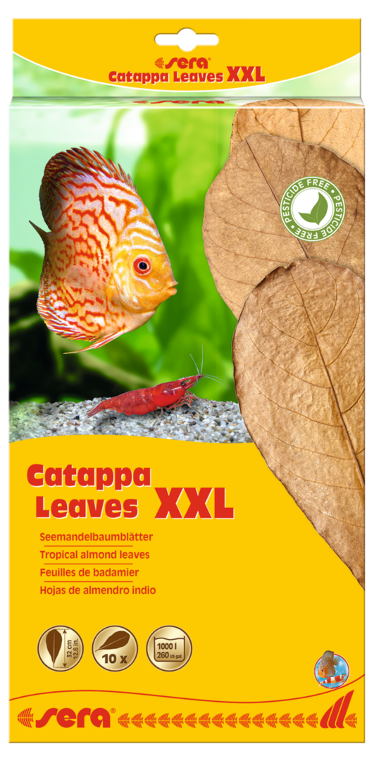 sera Catappa Leaves XXL 30-35 cm, 10 St.