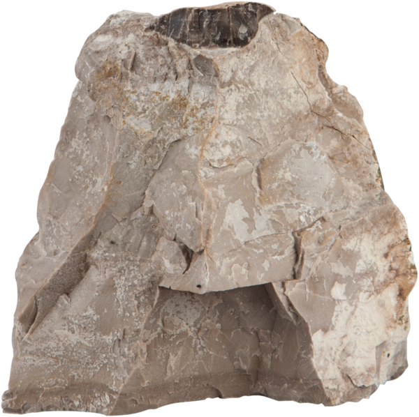 sera Rock Asian Pagode, S/M: 0,6 – 1,4 kg