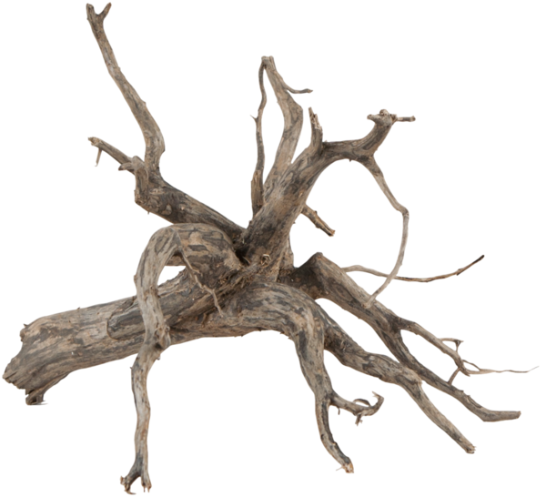 sera Scaper Root, M: 30 – 35 cm