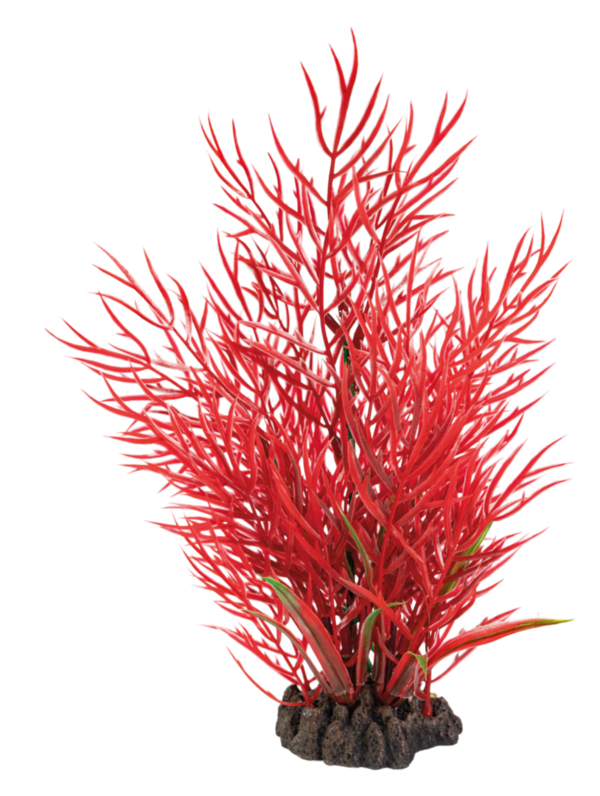 SuperFish Art Plant 25 cm Ludwigia