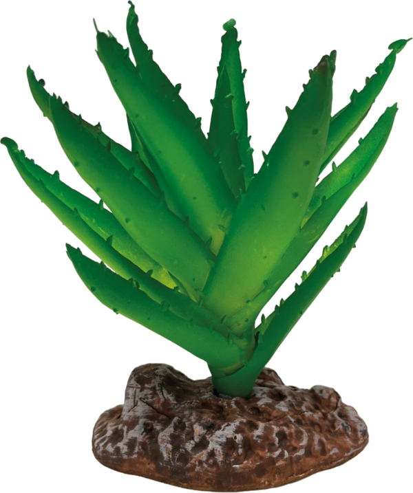 Repto Plant Aloe Vera